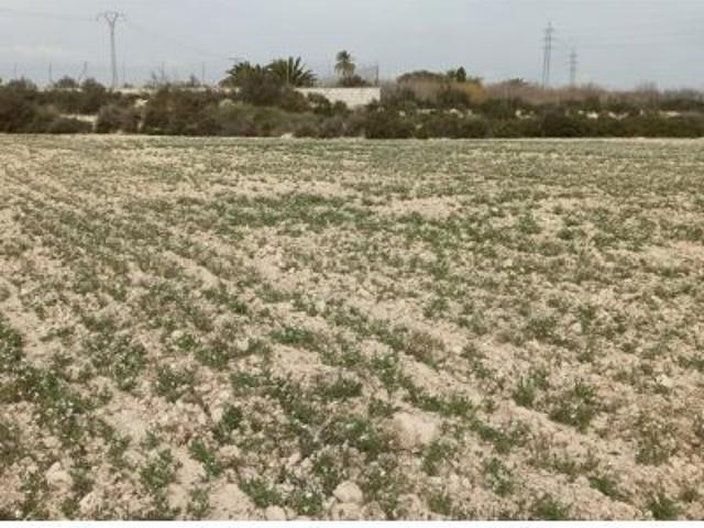 Local Comercial en venta en Perleta, el Baix Vinalopó