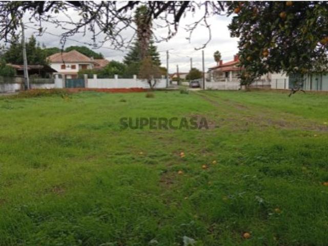 Terreno venda em Oliveira Do Bairro, Aveiro