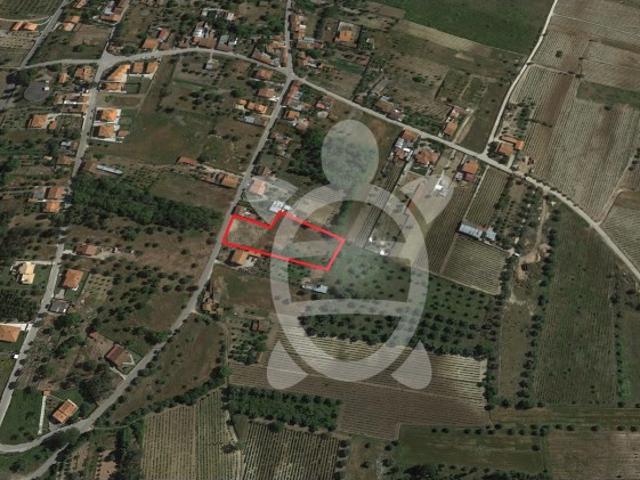 Terreno venda em Cantanhede