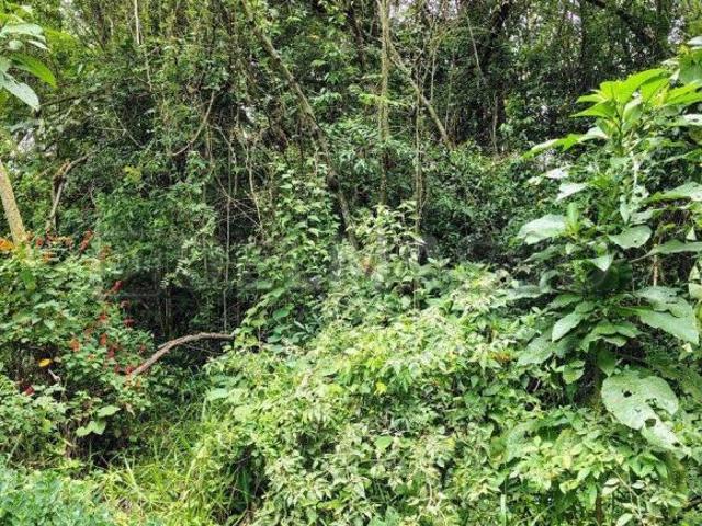 Terreno venda em Região Imediata de Sorocaba, Região Metropolitana de Sorocaba