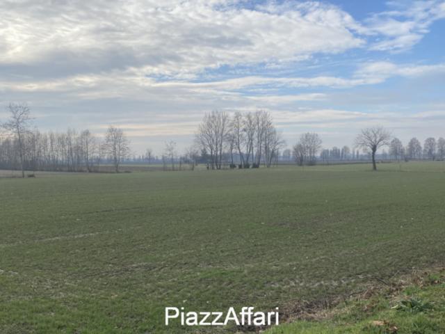 Terreno in vendita a Arzergrande, Veneto