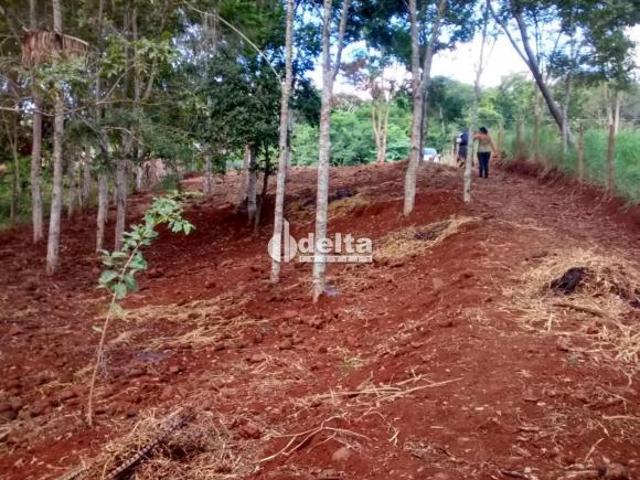 Terreno venda em Monte Alegre de Minas, Região Geográfica Intermediária de Uberlândia