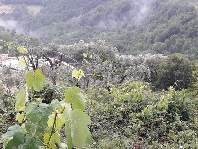Terreno in vendita a Casaprota, Lazio