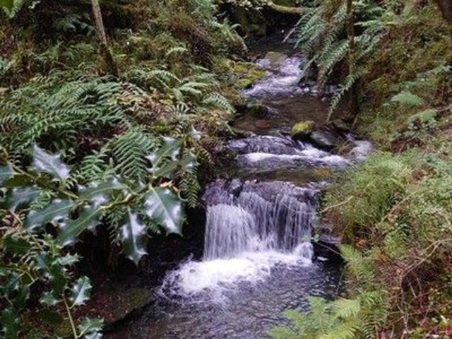 Terreno en venta en A Caniza, A Paradanta