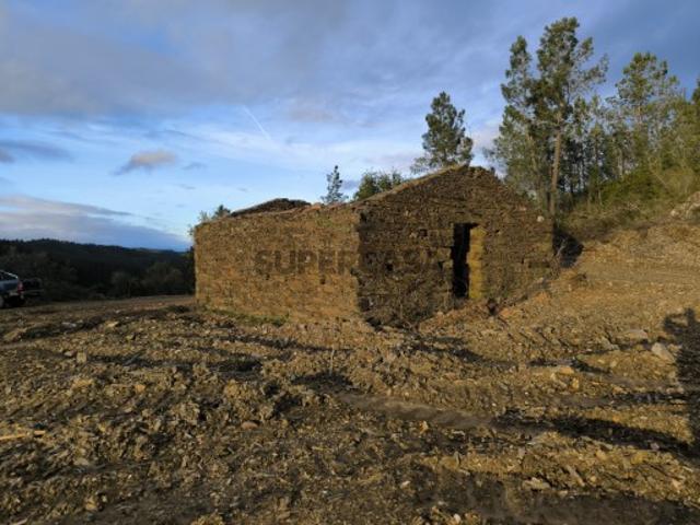 Terreno venda em Castelo Branco