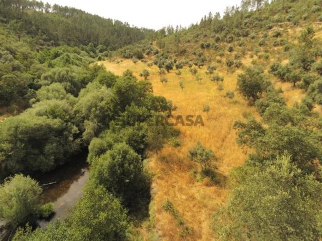Terreno venda em Castelo Branco