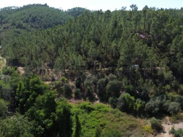 Terreno venda em Castelo Branco