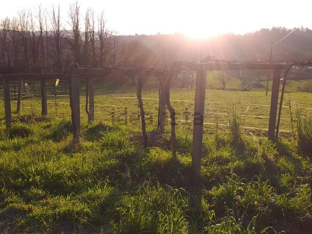 Terreno en venta en Arnois, Tabeirós - Terra de Montes