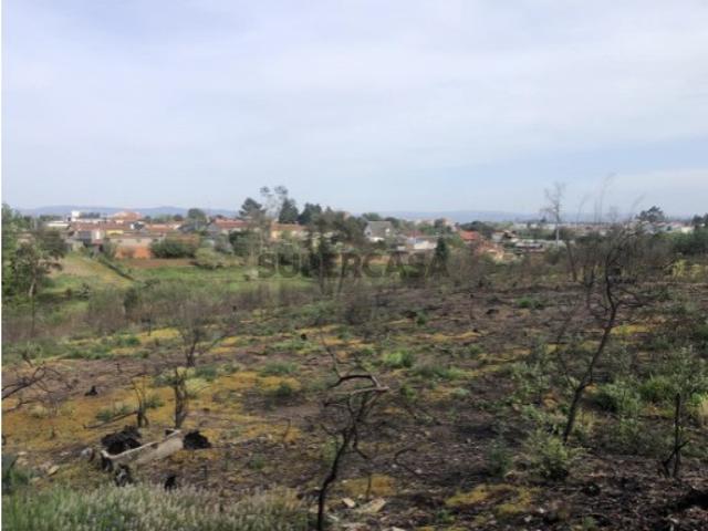 Terreno venda em Assilhó, Albergaria-a-velha