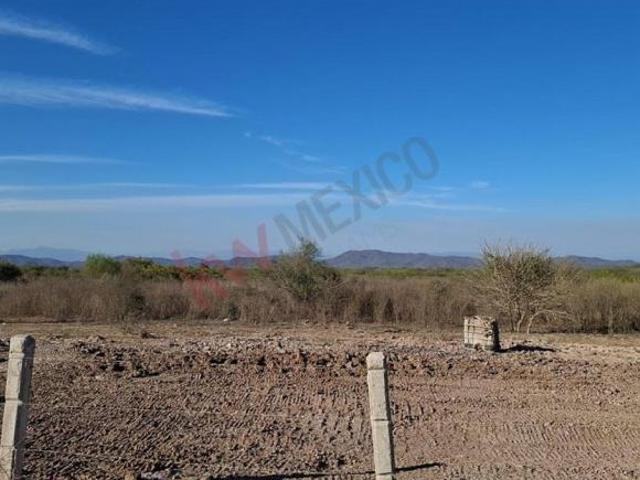 Terreno en venta en Rosario, Sinaloa