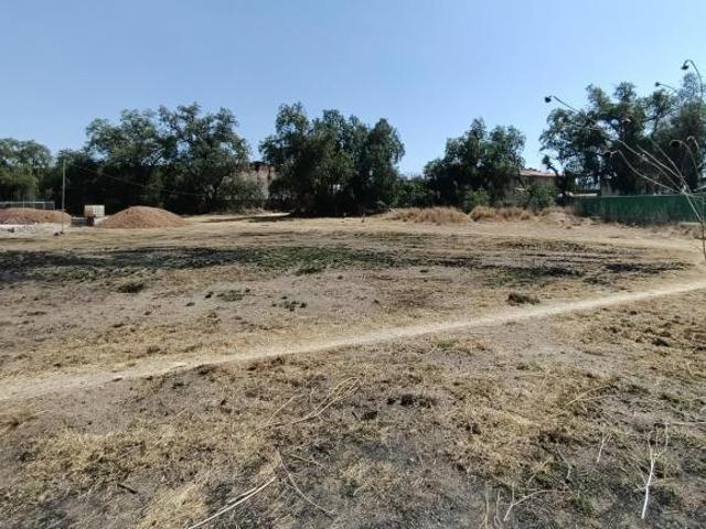 TERRENO A LA VENTA EN PUEBLO DE AMAJAC, CHIAUTLA