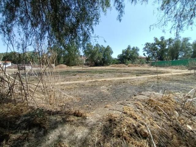 TERRENO A LA VENTA EN PUEBLO DE AMAJAC, CHIAUTLA