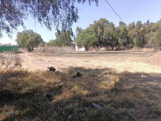 TERRENO A LA VENTA EN PUEBLO DE AMAJAC, CHIAUTLA