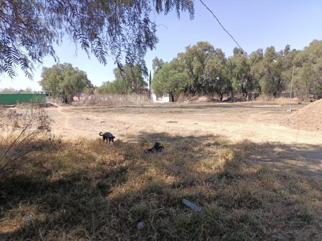 Terreno en venta en Chiautla, Estado de México