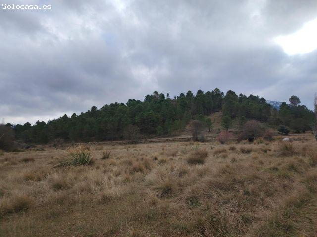 Local Comercial en venta en Riópar, Castilla-La Mancha
