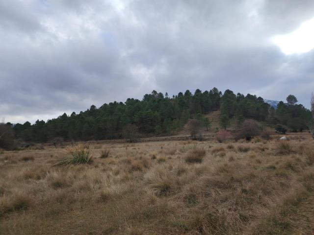 Terreno en venta en Riópar, Castilla-La Mancha