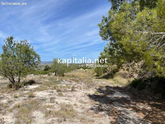 Local Comercial en venta en la Vall d'Albaida, Valencia