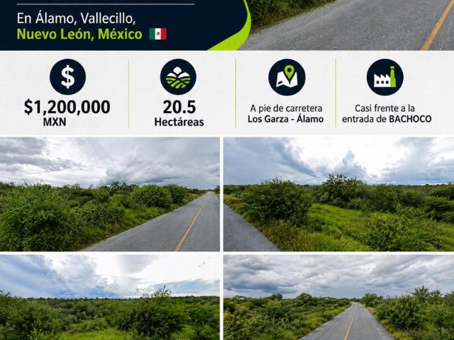 Terreno en venta en Vallecillo, Nuevo León