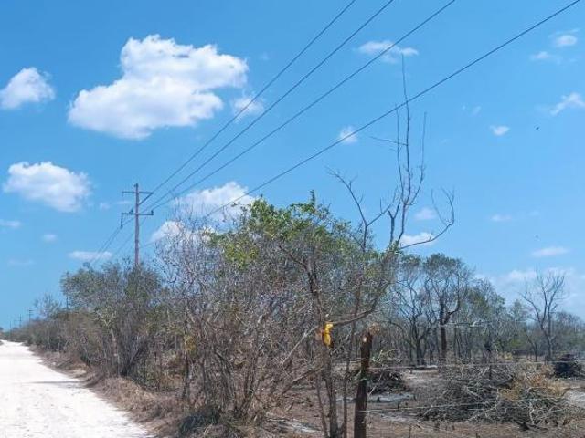 Terreno a pie de playa en Celestun Yucatan