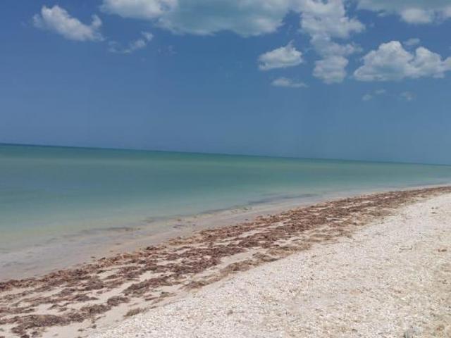 Terreno a pie de playa en Celestun Yucatan