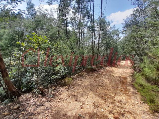 Terreno venda em Landiosa, Águeda