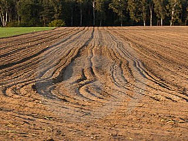 Terreno in vendita a Piove Di Sacco, Veneto