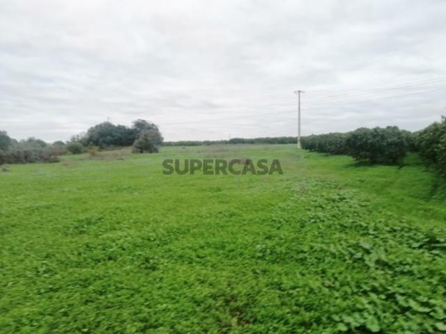 Terreno venda em Loulé, Faro