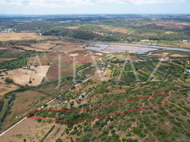 Terreno venda em Alcantarilha, Quinta dos Reis