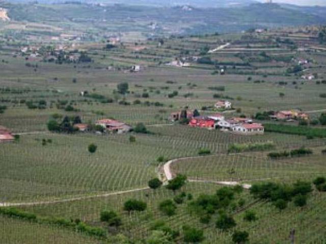 Terreno in vendita a Soave, Veneto