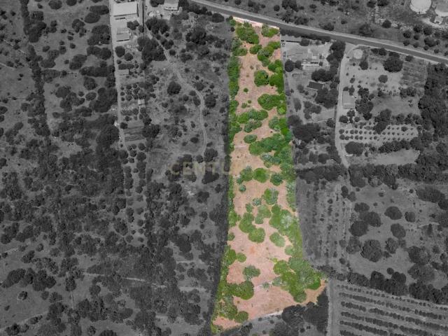 Terreno venda em Monte do Boi, São Bartolomeu De Messines