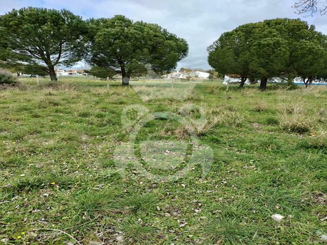 Terreno venda em Évora