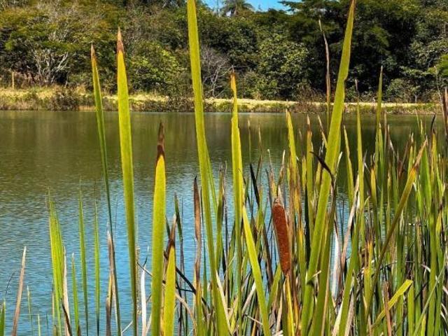 Terreno venda em Região Geográfica Imediata de Belo Horizonte, Região Metropolitana de Belo Horizonte