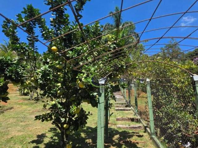 Terreno venda em Região Imediata de São José dos Campos, Região Metropolitana do Vale do Paraíba e Litoral Norte