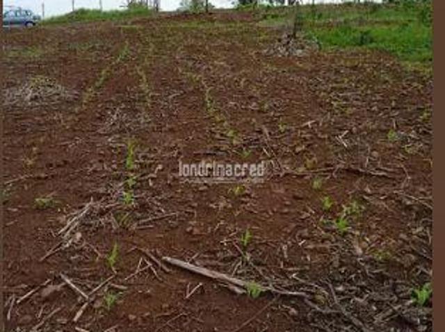 Terreno venda em Região Geográfica Imediata de Londrina, Londrina