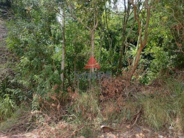 Terreno venda em Região Geográfica Imediata de Novo Hamburgo - São Leopoldo, Região Metropolitana de Porto Alegre