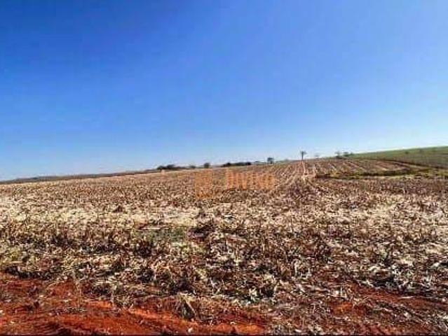 Terreno venda em Quadra