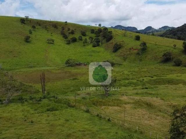 Terreno venda em Região Imediata de Taubaté-Pindamonhangaba, Região Metropolitana do Vale do Paraíba e Litoral Norte