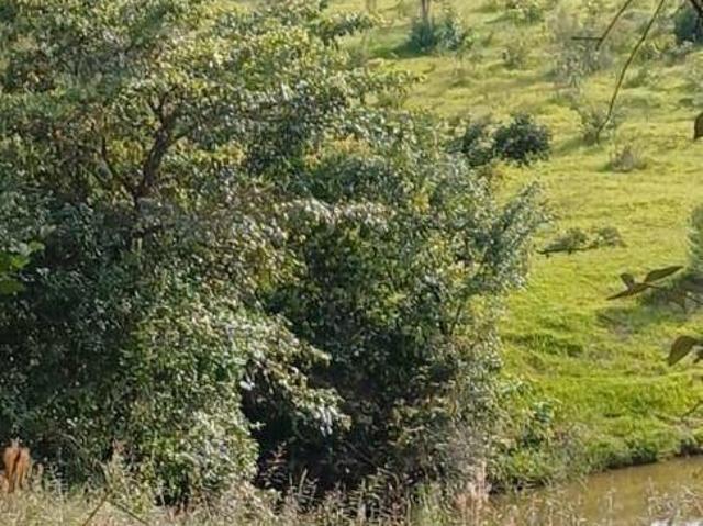Terreno venda em Região Imediata de Sorocaba, Região Metropolitana de Sorocaba