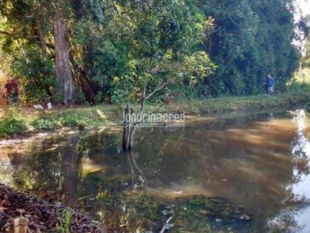 Terreno venda em Higienópolis, Londrina