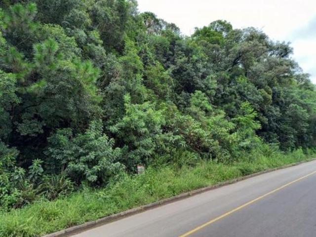 Terreno venda em Região Geográfica Imediata de Caxias do Sul, Canela
