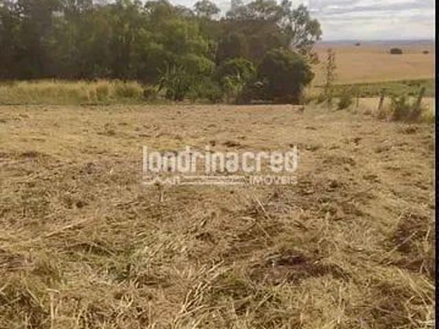 Terreno venda em Região Geográfica Imediata de Londrina, Primeiro de Maio