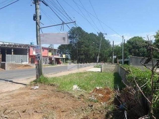 Terreno venda em Alvorada