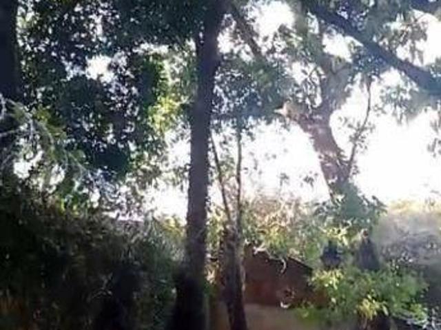 Terreno venda em Região Geográfica Imediata de Belo Horizonte, Região Metropolitana de Belo Horizonte