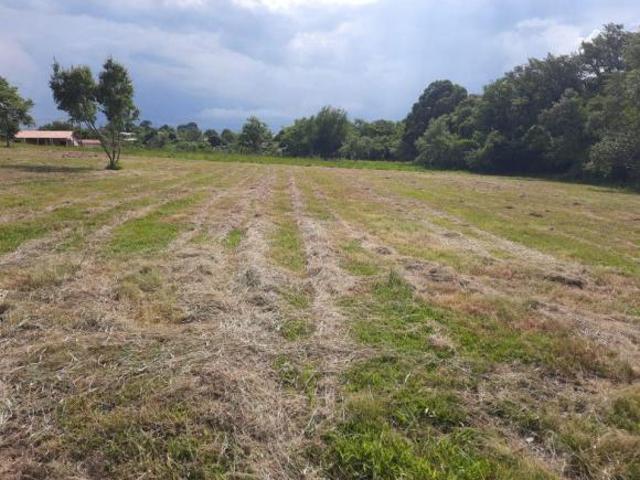 Terreno venda em Porangaba, Jardim Bela Vista