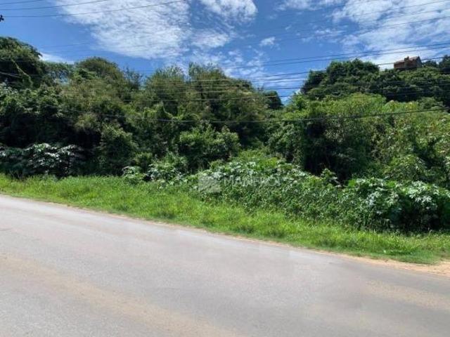 Terreno venda em Alvorada