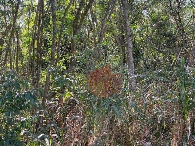 Terreno venda em Região Geográfica Imediata de Santo Antônio da Platina, Santo Antônio da Platina