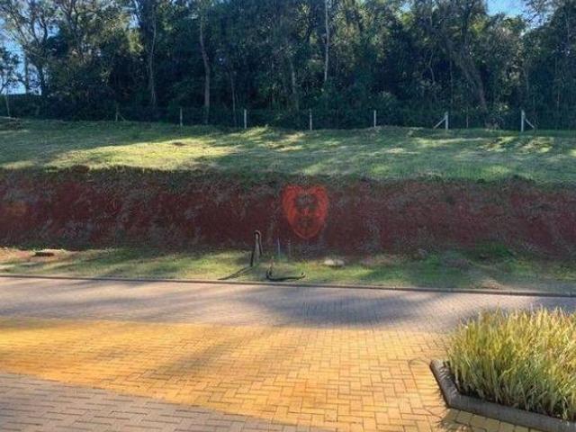 Terreno venda em Gravataí