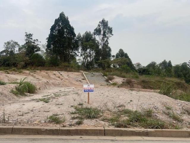 Terreno venda em Jardim Lenize, Guarulhos