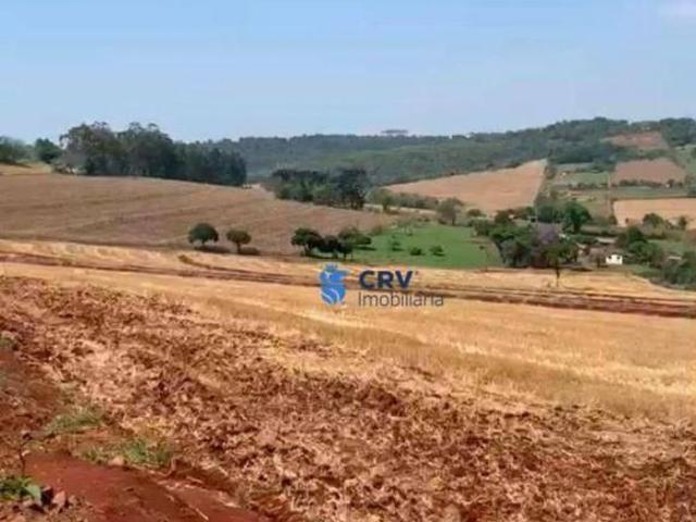 Terreno venda em Região Geográfica Imediata de Londrina, Londrina