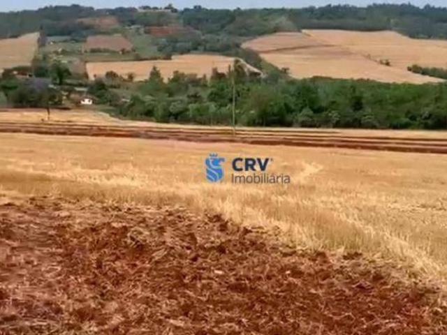 Terreno venda em Região Geográfica Imediata de Londrina, Londrina